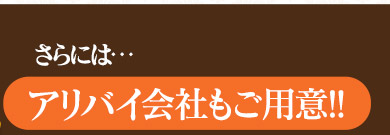 さらには、【アリバイ会社もご用意!!】