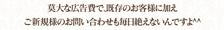莫大な広告費で、既存のお客様に加え、ご新規のお客様からのお問い合わせも毎日絶えないんですよ^^