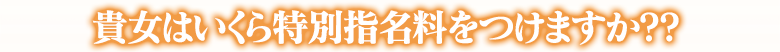 　『貴方はいくら特別指名料をつけますか？？』